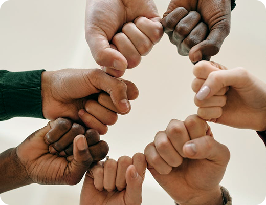 Collaborating team